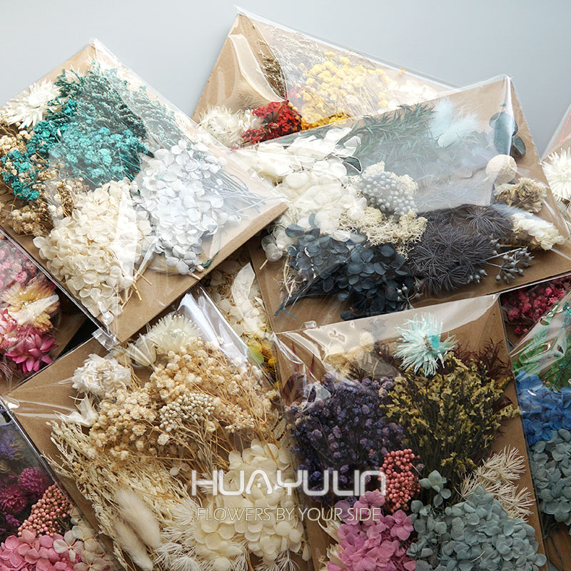 Dried Flower Bulk - 1 paquet de plantes artificielles séchées,