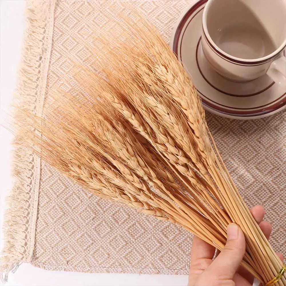 50 tiges de blé séchées artifi - Dried Flower Bulk avis et prix