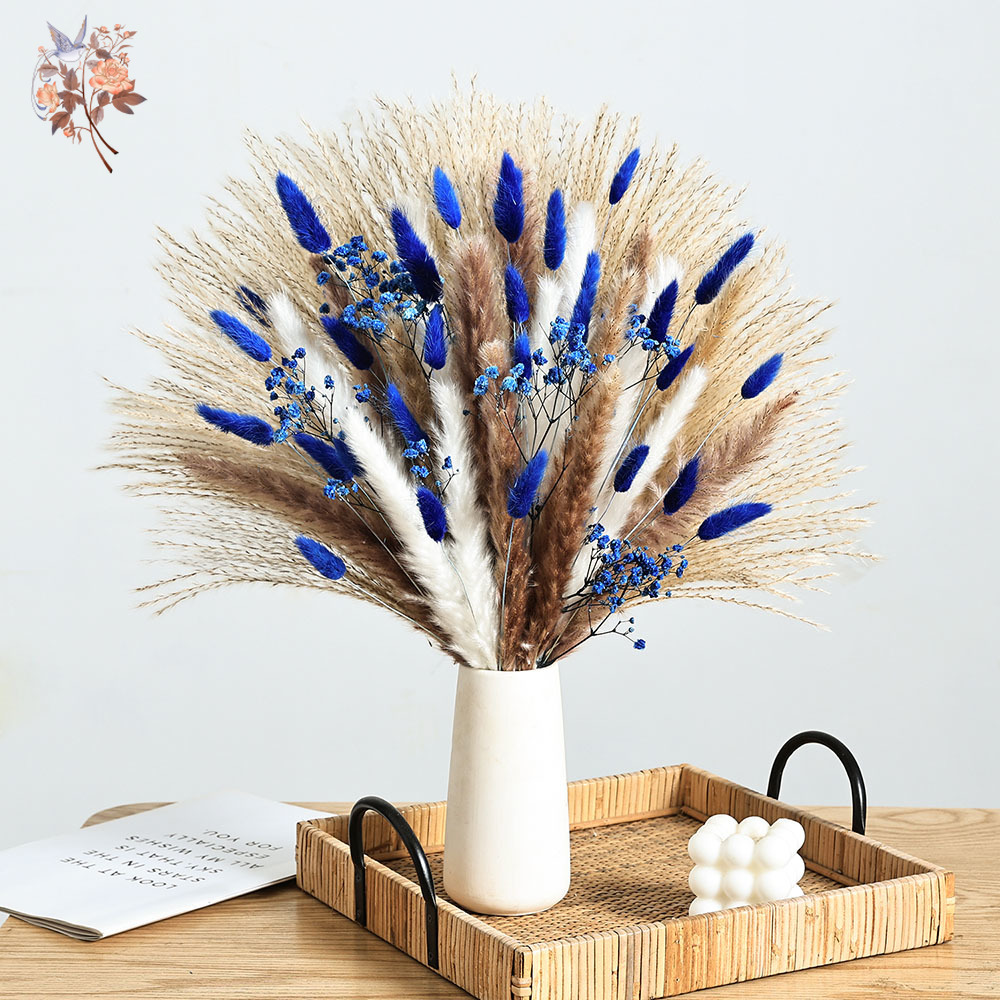 Queue de lapin moelleuse bleue - Dried Flower Bulk avis et prix