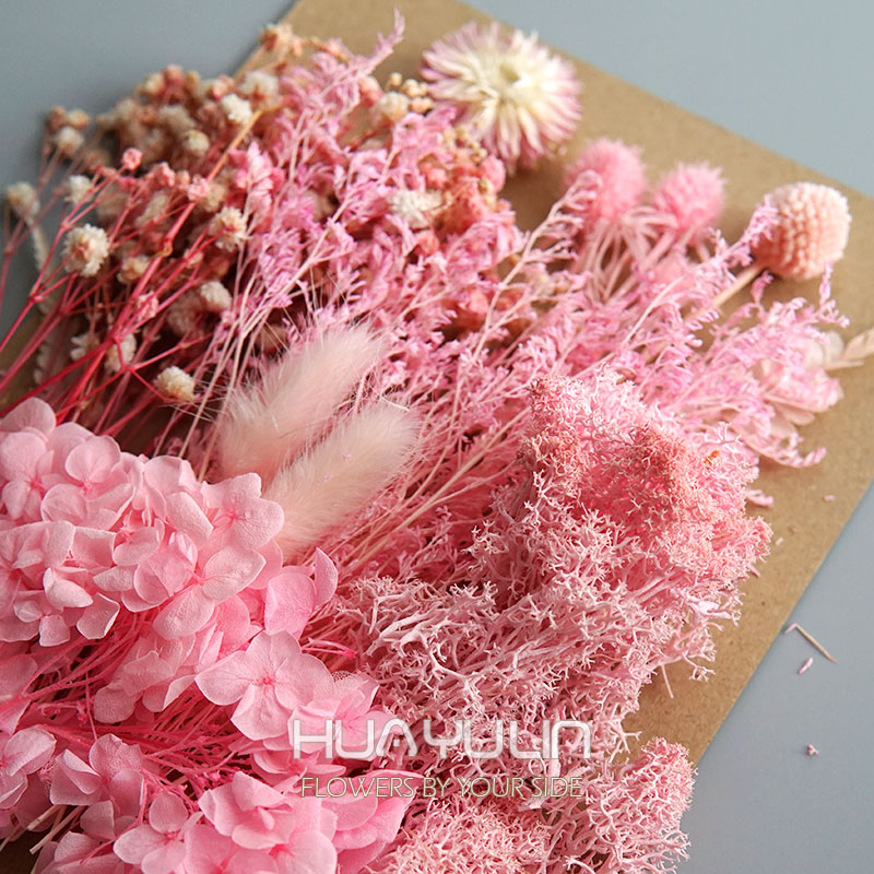 1 paquet de plantes artificiel - Dried Flower Bulk avis et prix