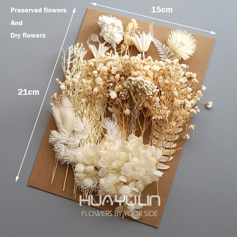 1 paquet de plantes artificiel - Dried Flower Bulk avis et prix
